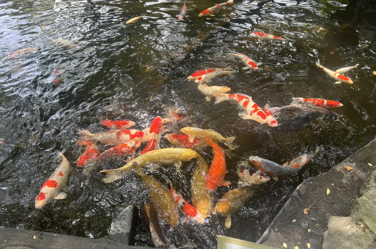 熱海伊豆山神社参拝 